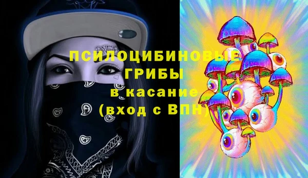 хмурый Богородицк