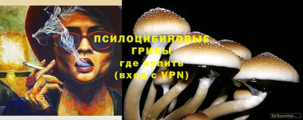 тгк Богородск