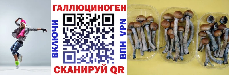 Галлюциногенные грибы мухоморы  Козьмодемьянск 
